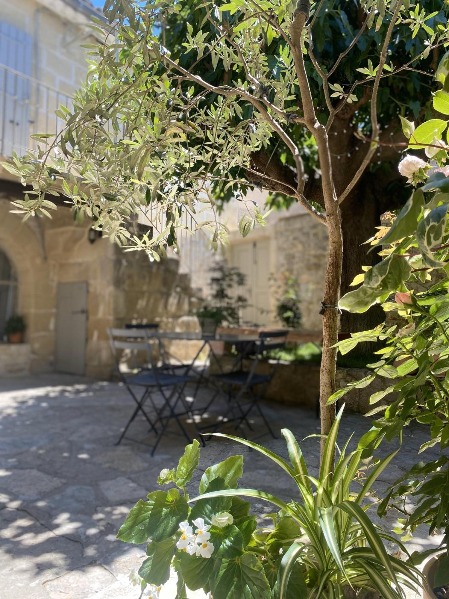 Bed and Breakfast La Dame Jeanne à Fontanes  Extérieur photo